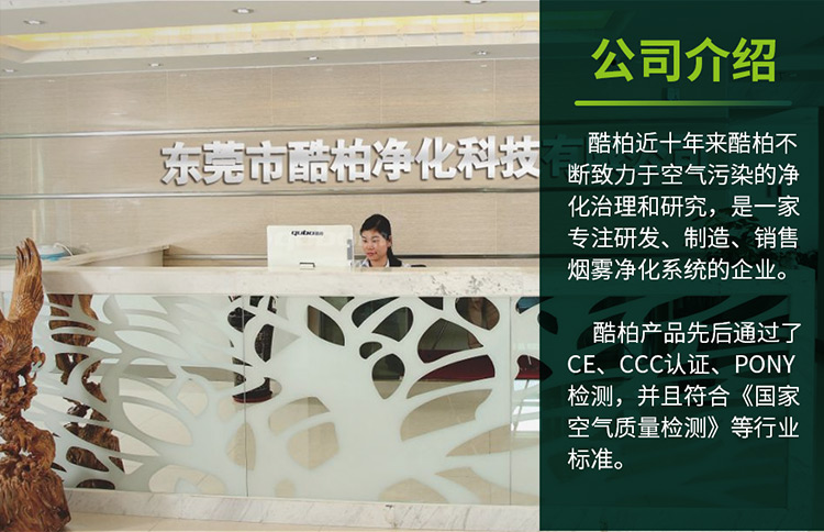 激光打标烟尘净化器XL300